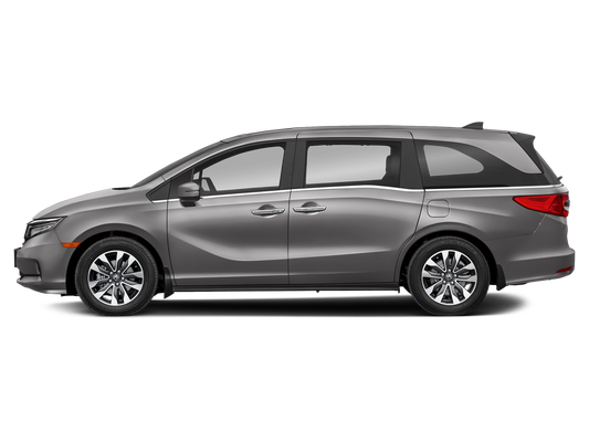 2024 Honda Odyssey EX-L in Tupelo, TN - Carlock Auto Group