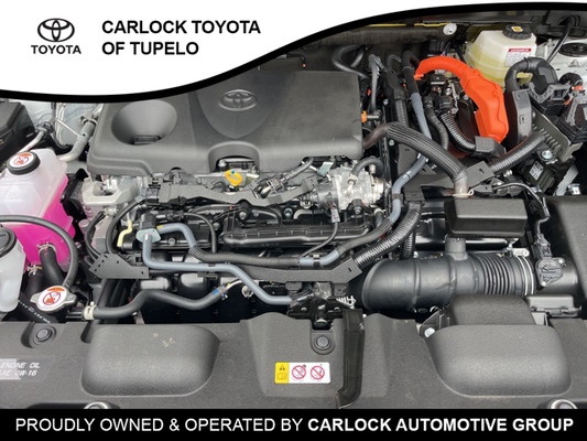 2024 Toyota Venza XLE in Tupelo, TN - Carlock Auto Group